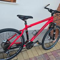 MTB Specialized muscolare Stumpjumper Front 