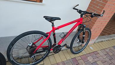 MTB Specialized muscolare Stumpjumper Front 
