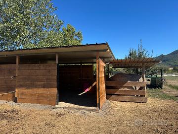 Disponile paddock cavalli