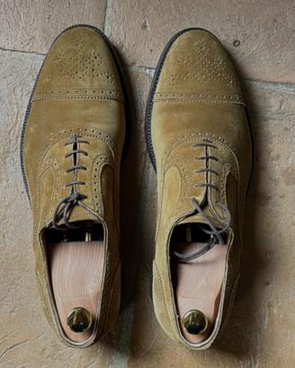 Belle scarpe Barrett stringate scamosciate