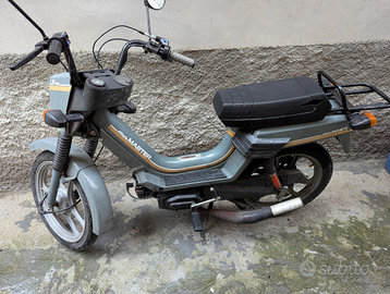 Atala master bimarcia