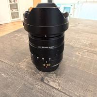 Panasonic Leica DG 12-60mm f/2.8-4.0 Micro 4/3