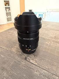 Panasonic Leica DG 12-60mm f/2.8-4.0 Micro 4/3