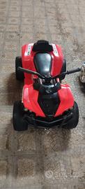 quad elettrico 
