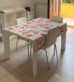 Tavolo ALLUNGABILE colore bianco larice