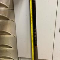 Canna rara da collezione Japan 🇯🇵