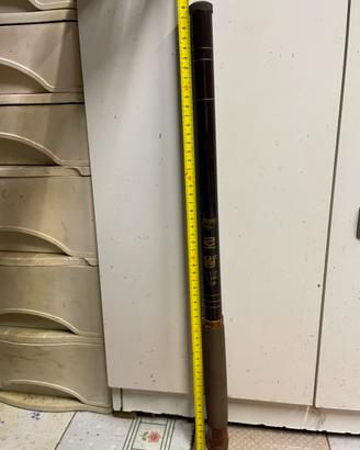 Canna rara da collezione Japan 🇯🇵