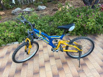 Bici gold bike