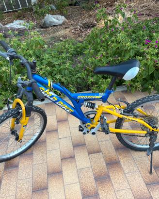 Bici gold bike
