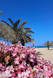 Casa vacanza san benedetto del tronto