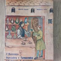 L'assistenza Ospedaliera e farmaceutica...........