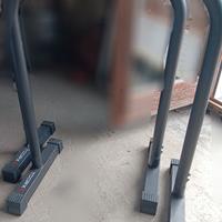 Parallele calisthenics Toorx