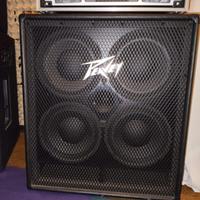 Testata Peavey TourSeries 450 +Cassa Peavey410 TVX