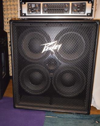 Testata Peavey TourSeries 450 +Cassa Peavey410 TVX