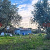 Terreno Agricolo Cecina [T1-23VRG]