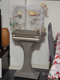 Gabbia con 3 canarini