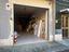 Immagine 24