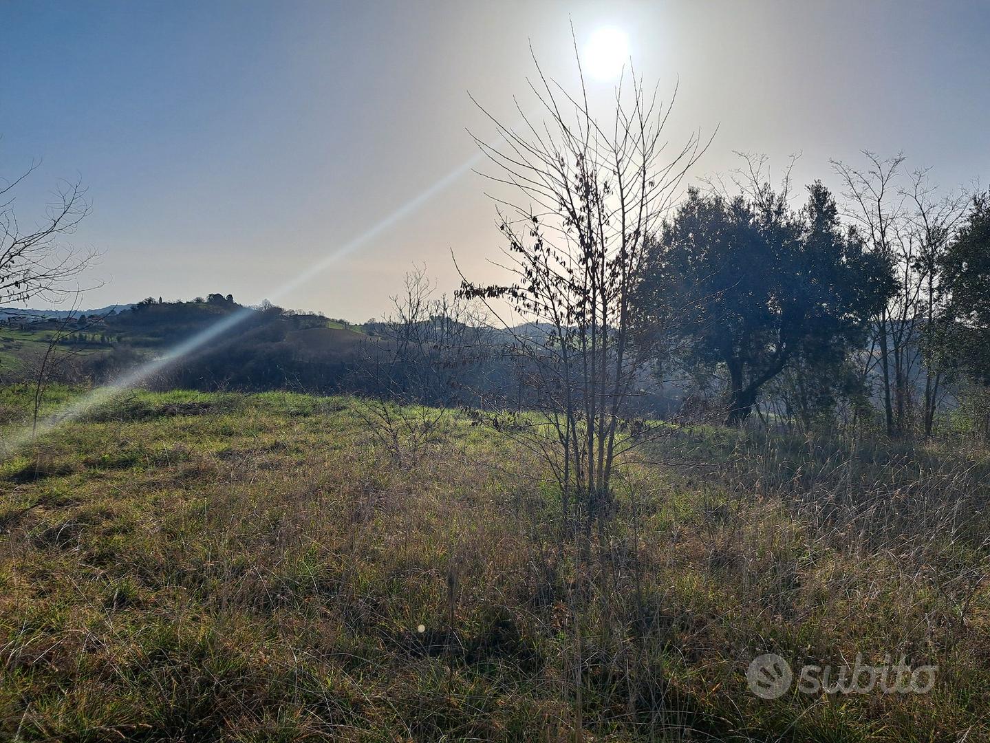 Terreno rezidenziale nella Regione Marche - Altro