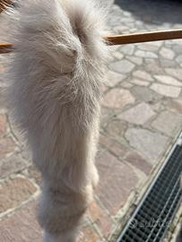 Pelliccia + collo di Visone