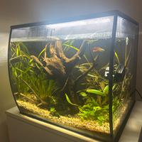 Acquario Fluval 57 litri