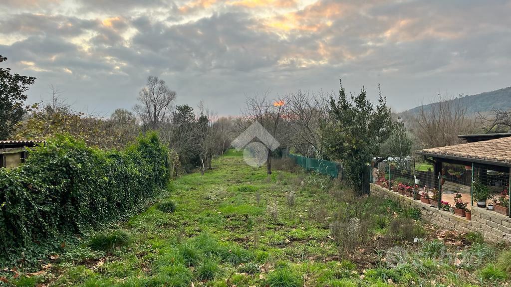 TER. AGRICOLO A TREVIGNANO ROMANO - Vista 2