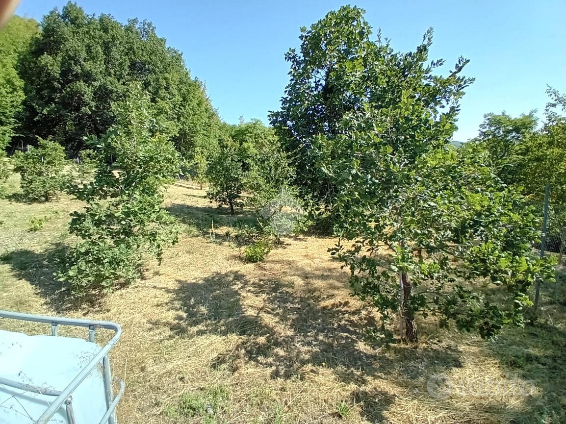 Appartamento – Spoleto, Perugia - Vista 5