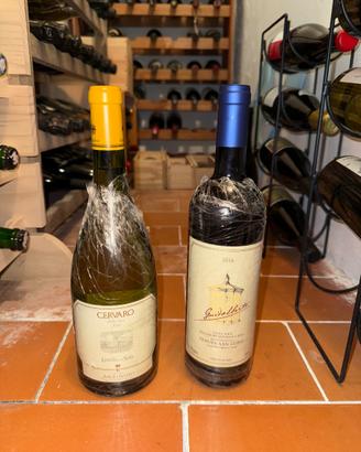 Coppia vino pregiato - Antinori, Tenuta San Guido