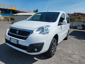 Peugeot Partner Tepee 1.6 HDi 4x4 VETTURA 5 POSTI