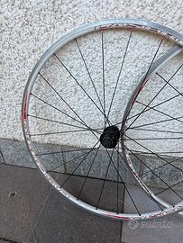 Ruote bici dtswiss 240 ambrosio laser pro