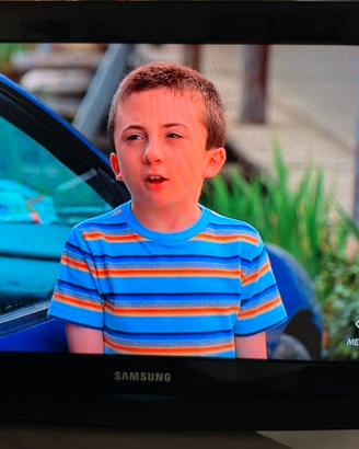 TV LCD Samsung 26" HD ready (Modello LE26B350F1W)