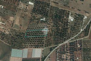 TER. AGRICOLO A CAROVIGNO