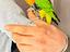 Immagine 4