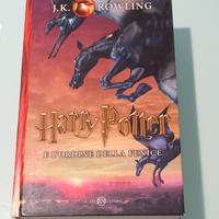 libro Harry Potter e l'ordine della fenice