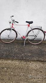 Bicicletta Dolce Luna