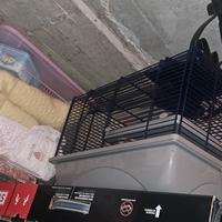 gabbietta piccoli roditori