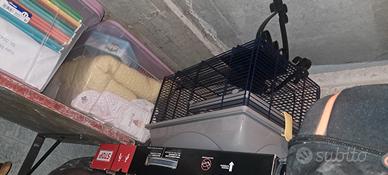 gabbietta piccoli roditori