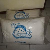 Coppia di cuscini guanciali Extraflex