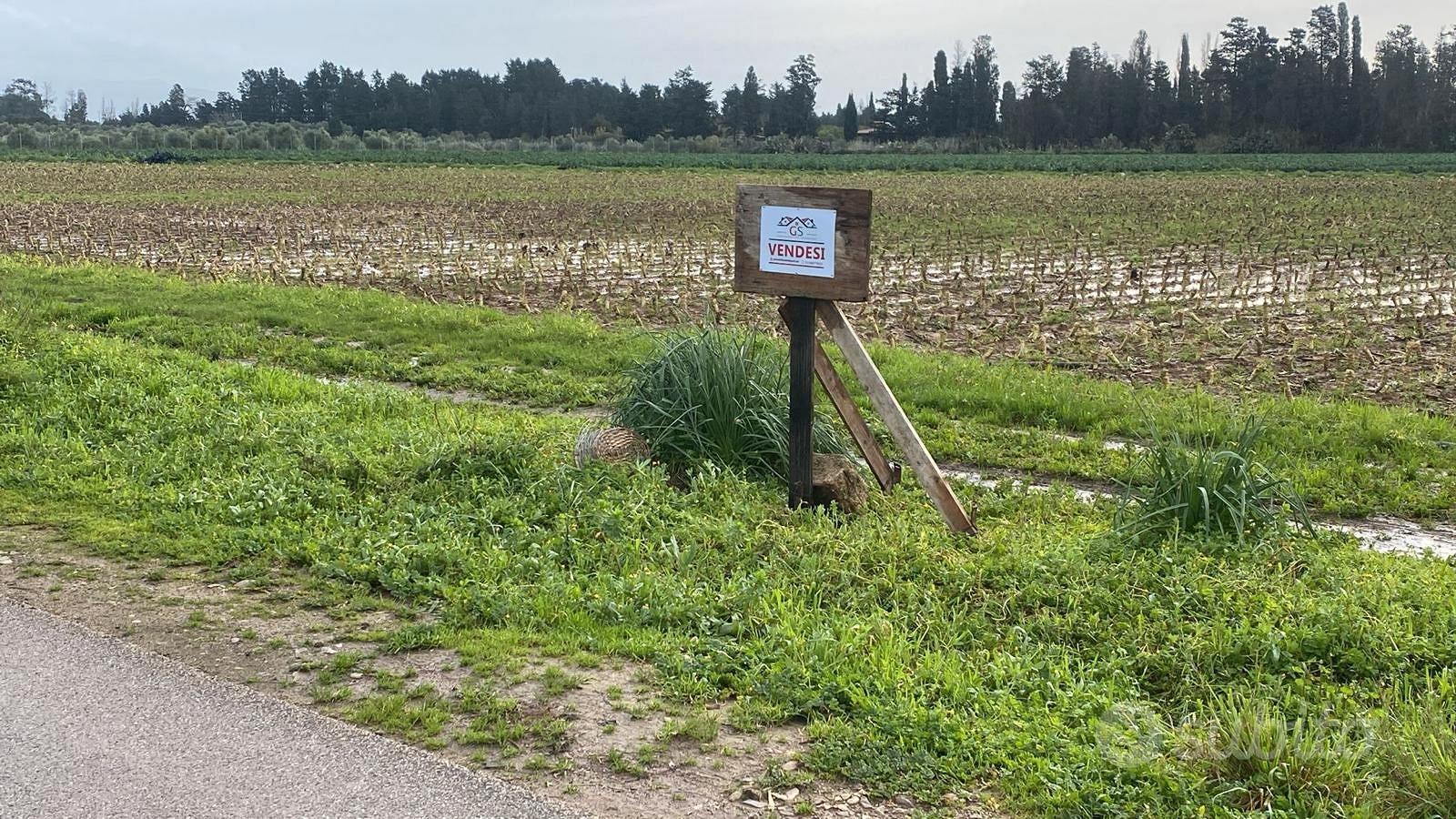 Terreno agricolo a 500 metri da Decimomannu - Vista 2