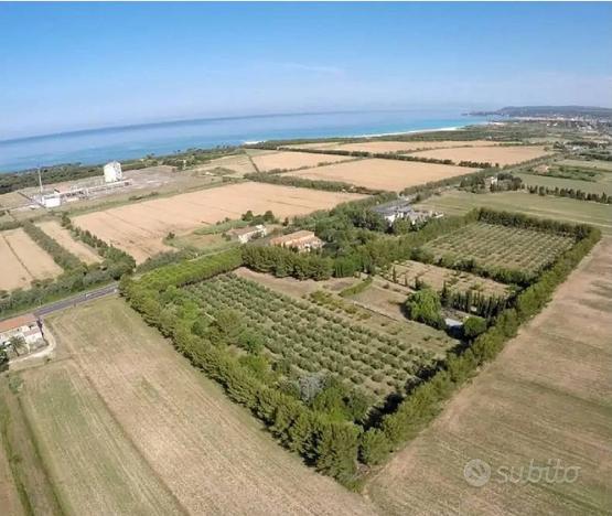 Agriturismo di ampia superficie con terreno pis...