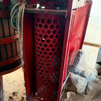 Pigiatrice elettrica + Torchio da 50 per uva