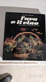 l'uva e il vino Magnus edizioni 