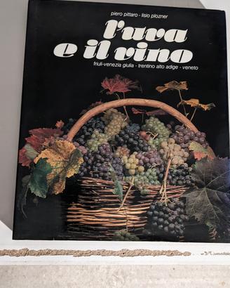 l'uva e il vino Magnus edizioni 