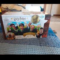 Gioco Harry Potter