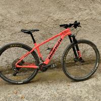 Mountain bike Bianchi