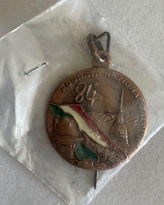 84ª Adunata Nazionale degli Alpini, Torino
