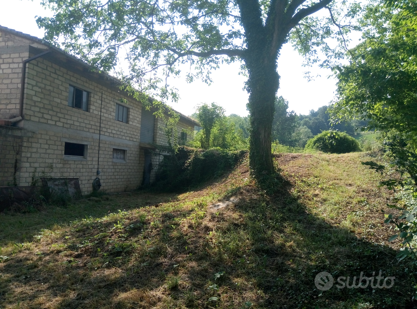 Rustico con terreni - Vista 4