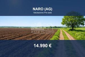 Immobile in asta di 14880 m² a Naro