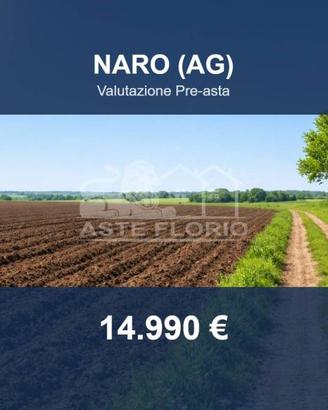 Immobile in asta di 14880 m² a Naro
