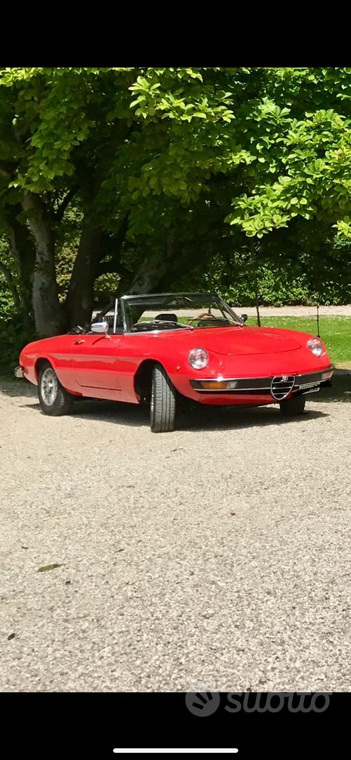 Alfa Romeo Spider