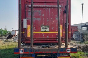 Camion trasporto bestiame